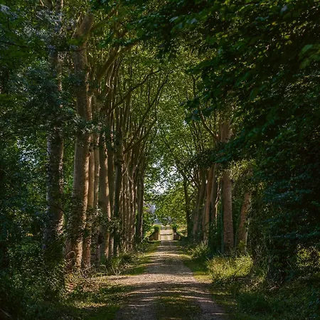 Bed & Breakfast D'hote Saphir