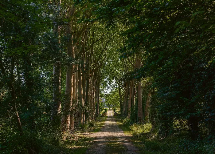 Bed and breakfast D'hote Saphir